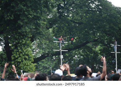 Photograph 106 — July 3rd, 2024