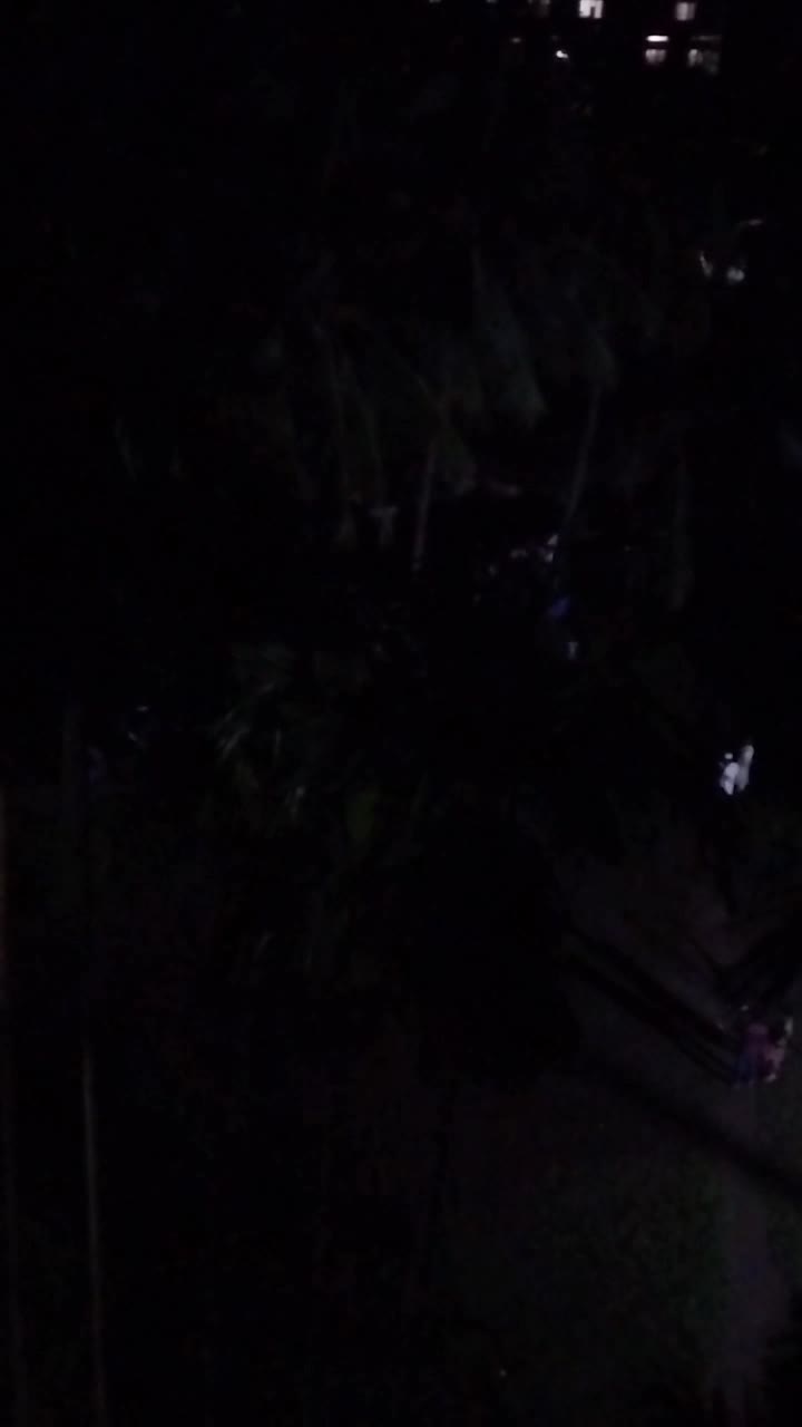 তুমি কে, আমি কে?