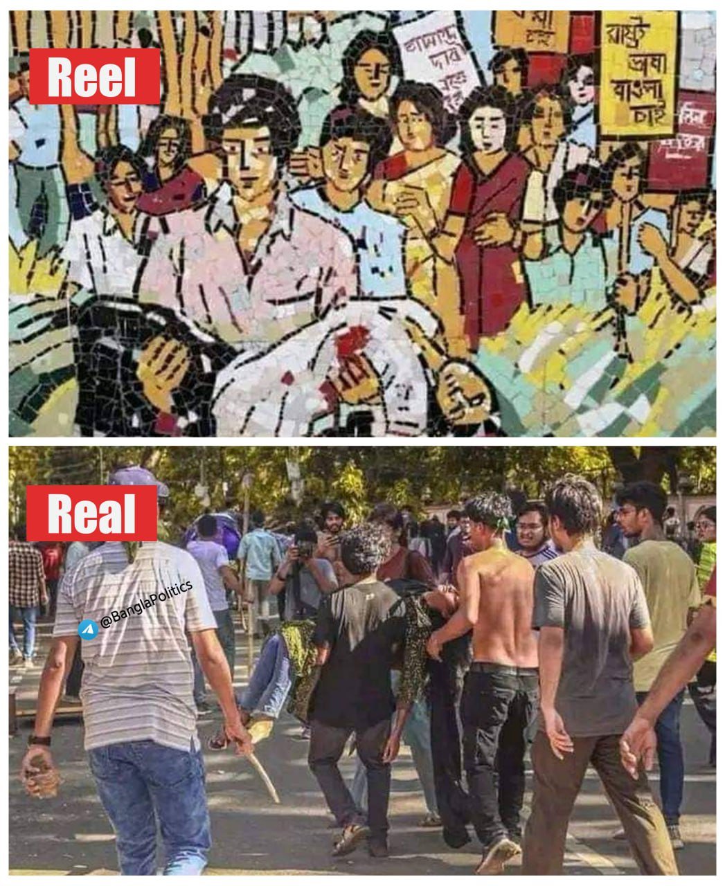 Reel vs Real