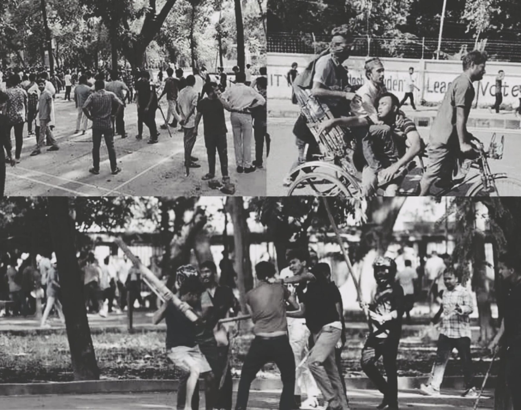Photograph 97 — July 16th, 2024