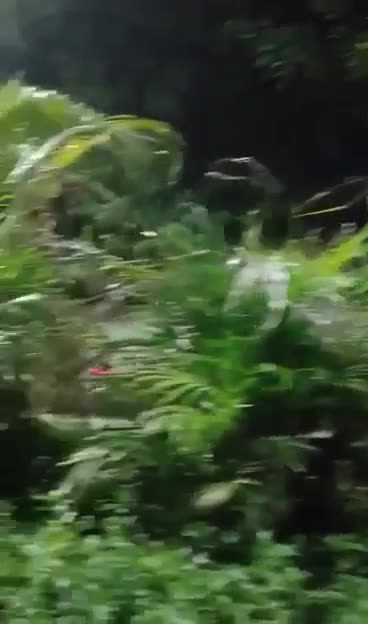 ঢাকা বিশ্ববিদ্যালয়ের বর্তমান অবস্থা