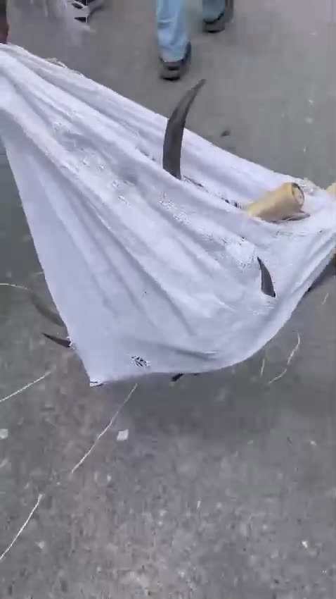 Video 28 — July 16th, 2024