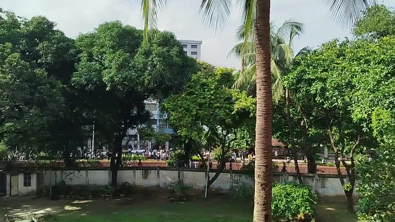 Video 6 — July 17th, 2024