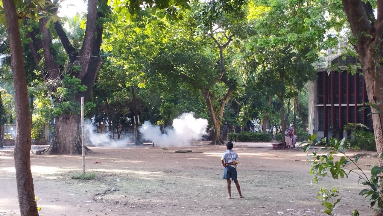 Photograph 99 — July 17th, 2024