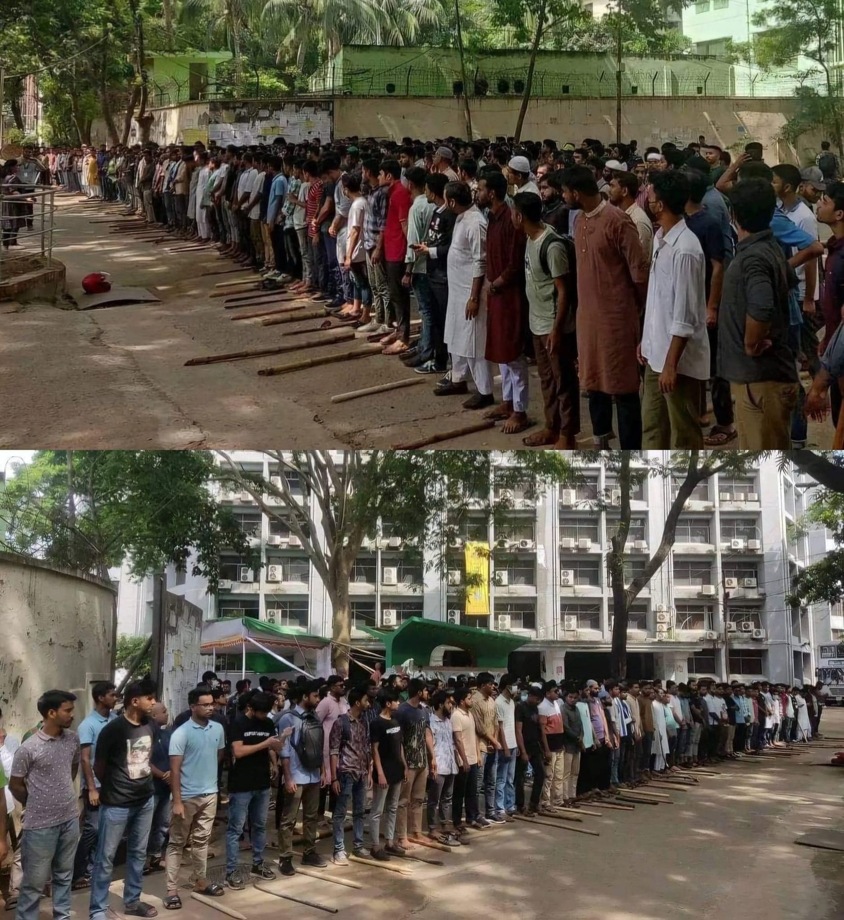 Photograph 142 — July 17th, 2024
