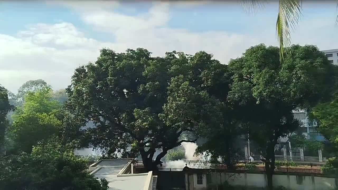Video 19 — July 17th, 2024