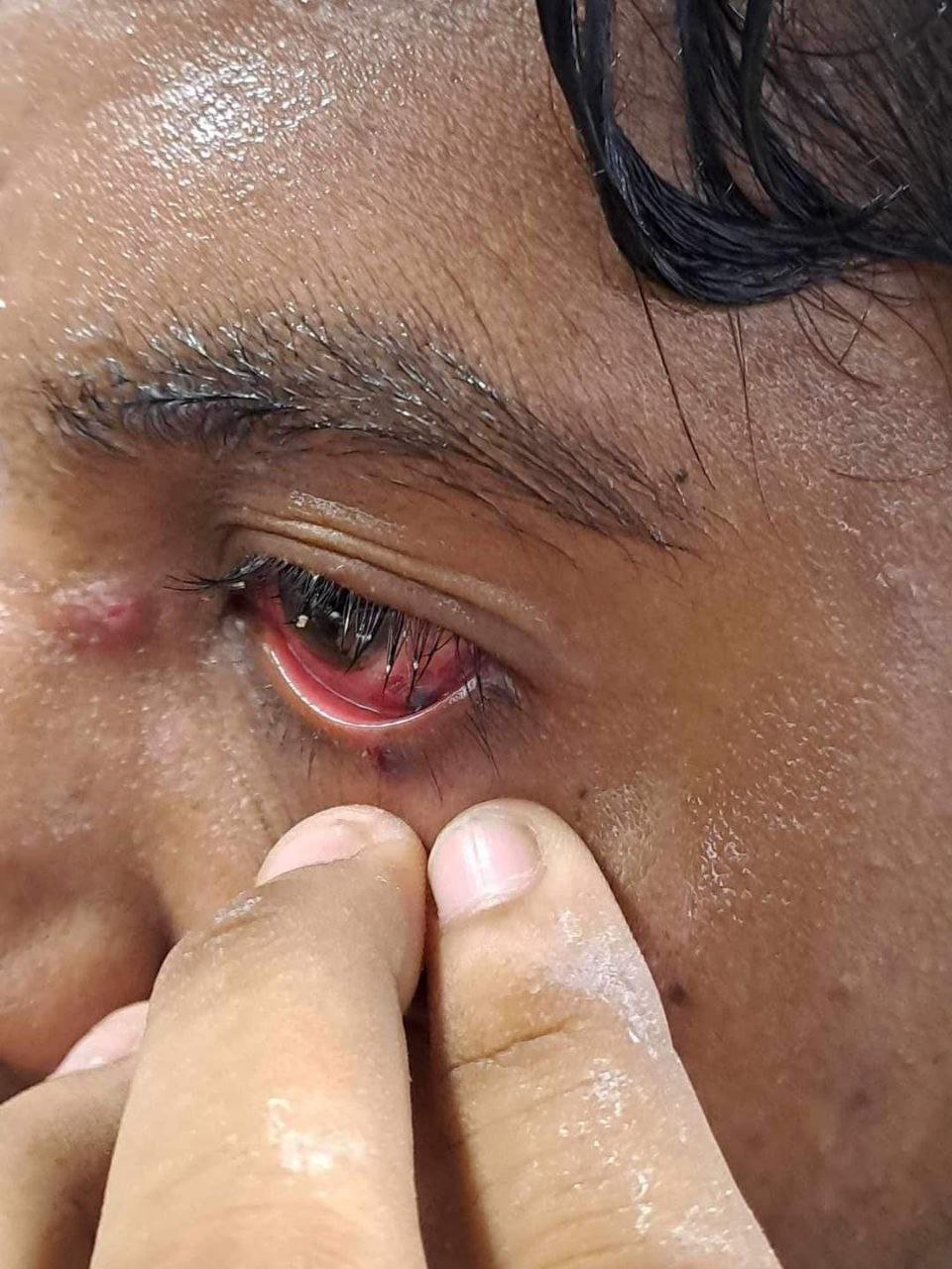 Photograph 183 — July 18th, 2024