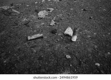 Photograph 339 — July 18th, 2024
