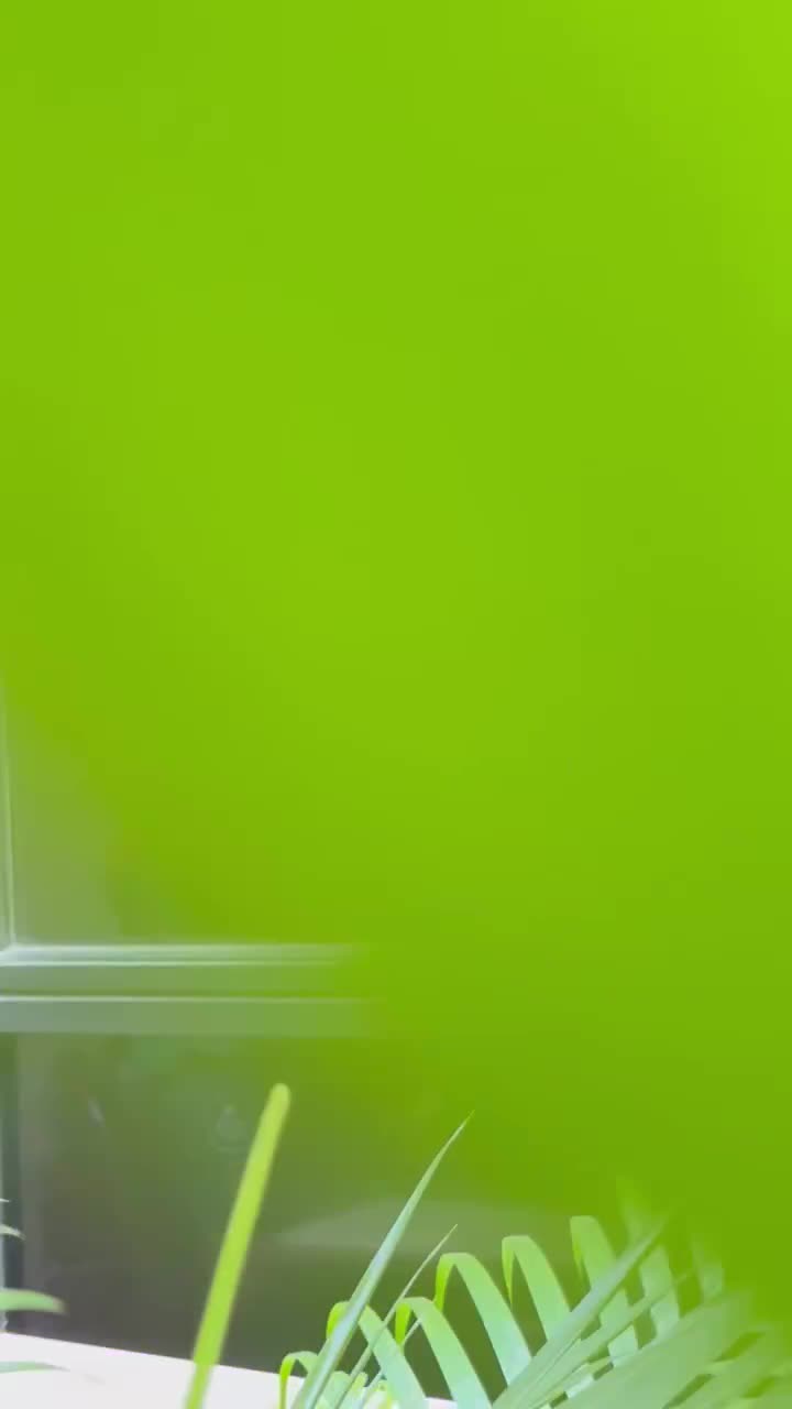 Video 88 — July 18th, 2024