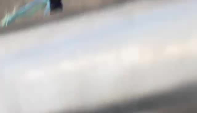 Video 97 — July 24th, 2024