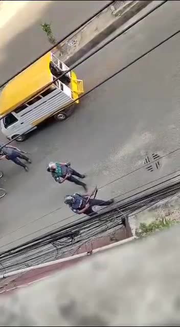 Police nachtese guli koira
