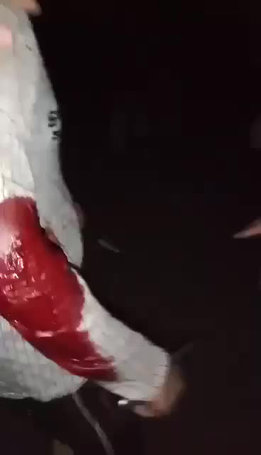 Video 30 — July 25th, 2024