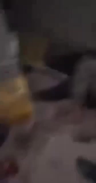 Video 41 — July 26th, 2024