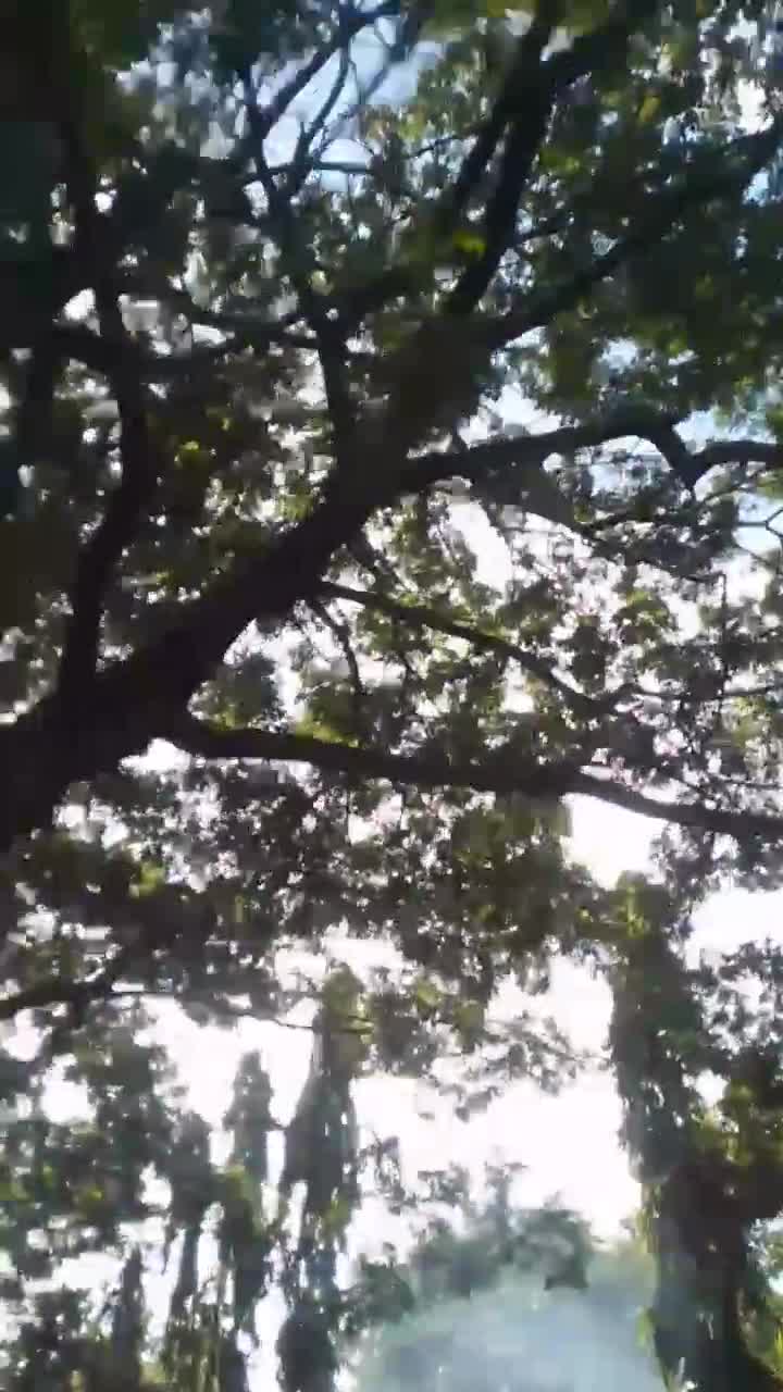Video 2 — July 26th, 2024