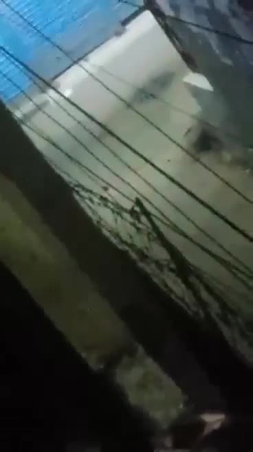 Video 116 — July 26th, 2024