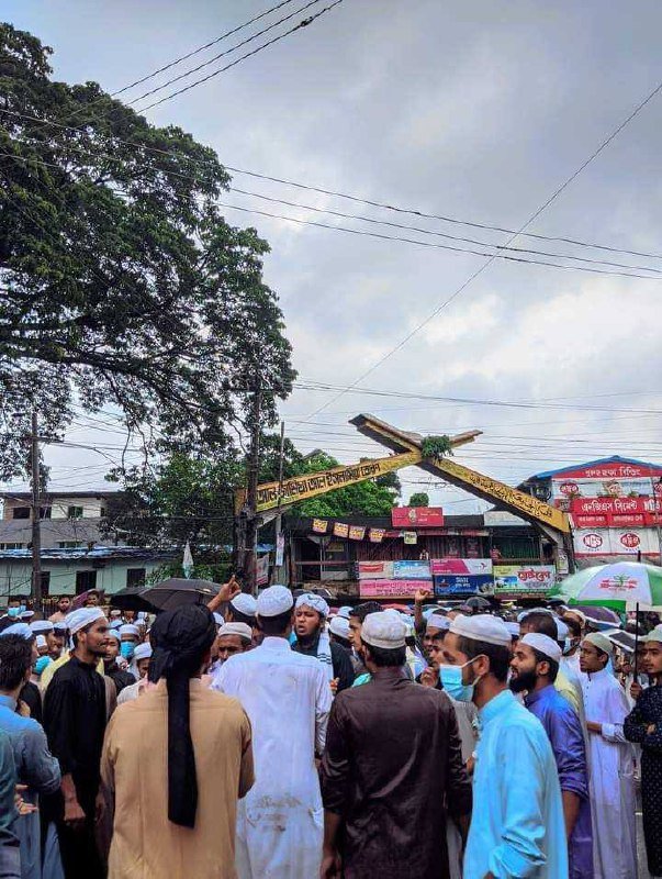 Photograph 169 — August 2nd, 2024