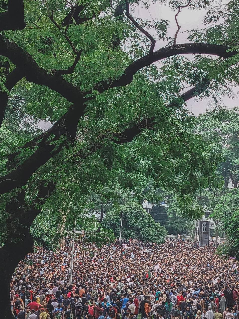 Photograph 138 — August 3rd, 2024