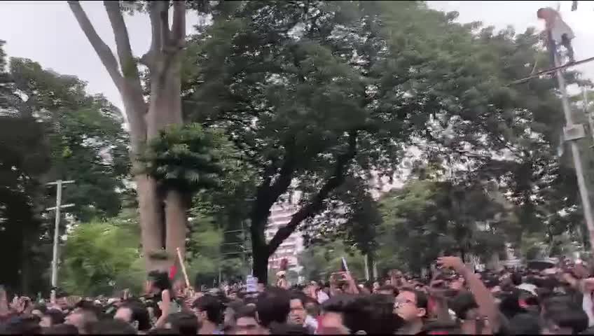 Video 9 — August 3rd, 2024