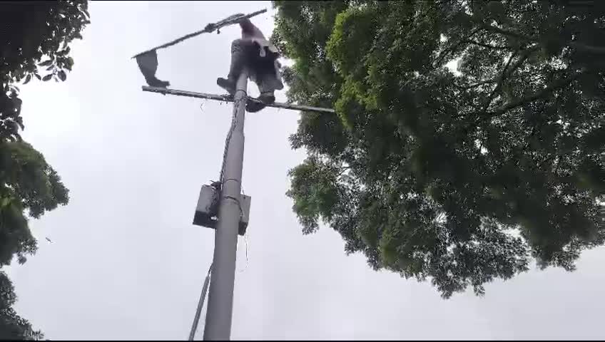 Video 49 — August 3rd, 2024