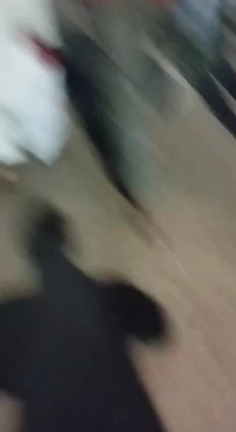 Video 67 — August 3rd, 2024