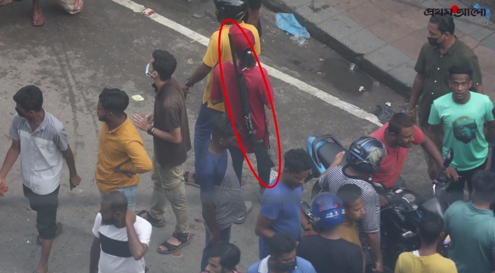 Photograph 215 — August 4th, 2024