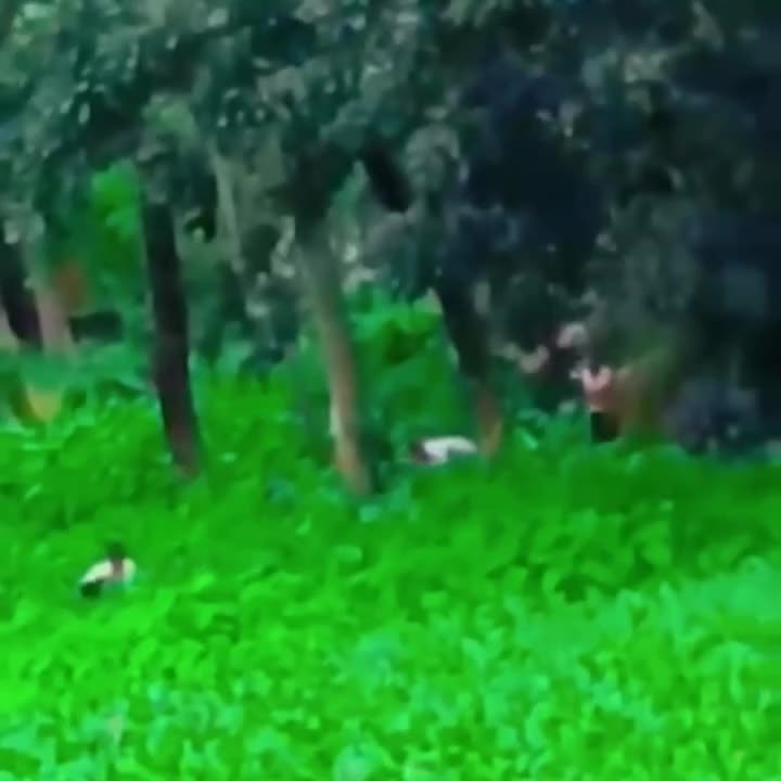 Video 18 — August 4th, 2024