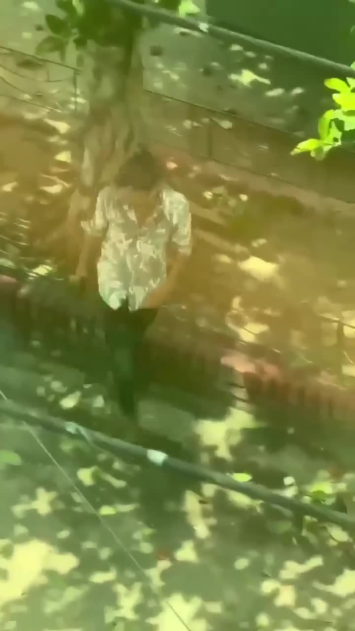 Video 46 — August 4th, 2024