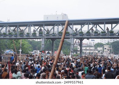 Photograph 358 — August 5th, 2024