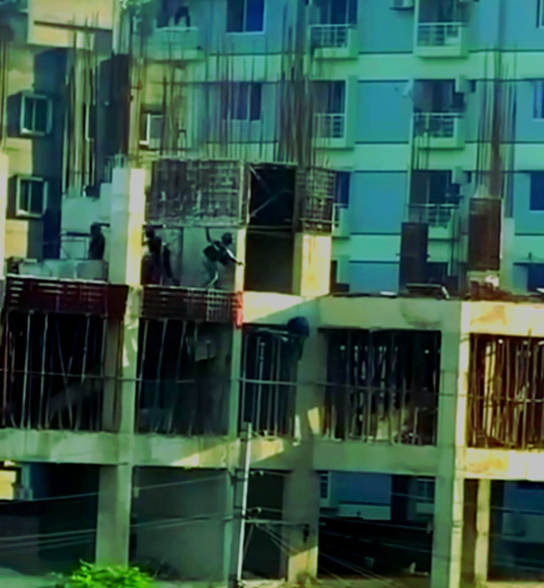 Photograph 42 — August 6th, 2024