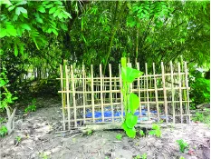 মো: বকুল মিয়া