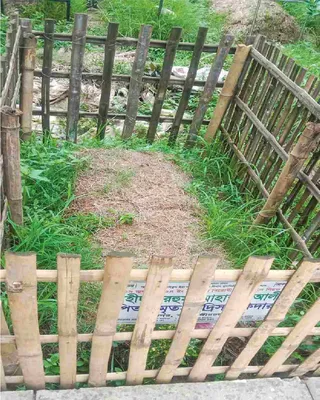 আলী হোসেন