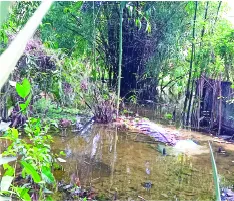মো: মাঈন উদ্দিন
