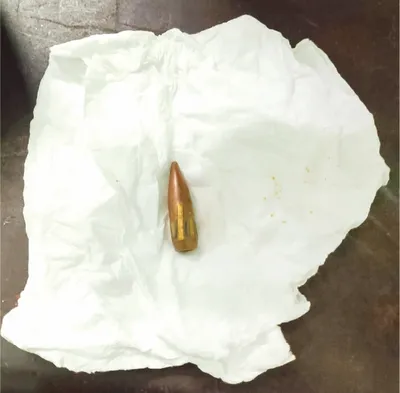 শাহরিয়ার হাসান আলভী