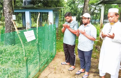 আসীর ইনতিশারুল হক