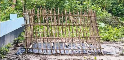 মো: রাকিবুল হোসেন