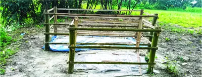 রিফাত হোসেন