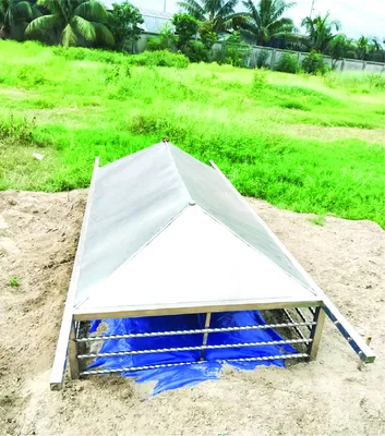 মেহেদী হাসান