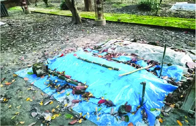 মো: আব্দুল আলীম