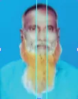 মো: ইসমাইল মোল্লা