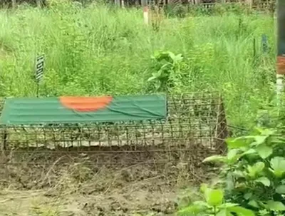 গাজী সালাউদ্দীন