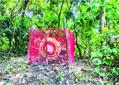 মো: জাকির হোসেন (শাকিব)