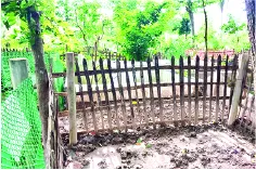 মো: রুহান ইসলাম