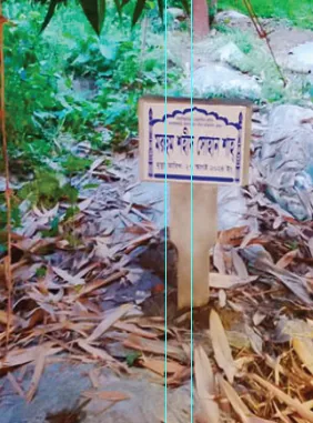 সোহান শাহ