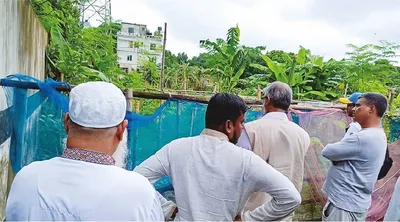 মো: জোবায়ের বেপারী