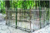 মো: শাহারিয়ার