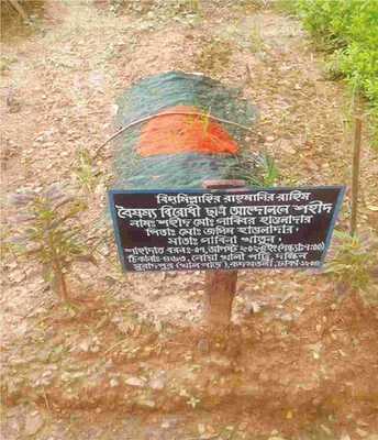 মো: সাব্বির হাওলাদার