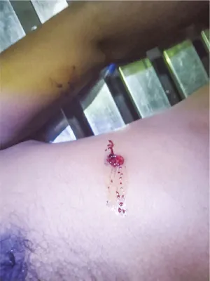 মো: সেলিম আলী শেখ