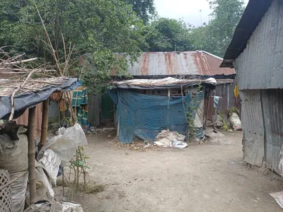 রাইফা