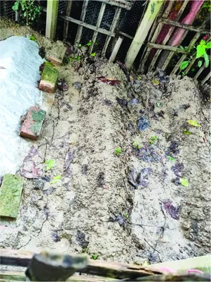 মো: ইউসুফ আলী