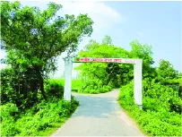 মো: সোহেল রানা